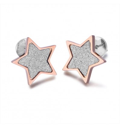 Orecchini in acciaio Luca Barra con stella rosè e glitter